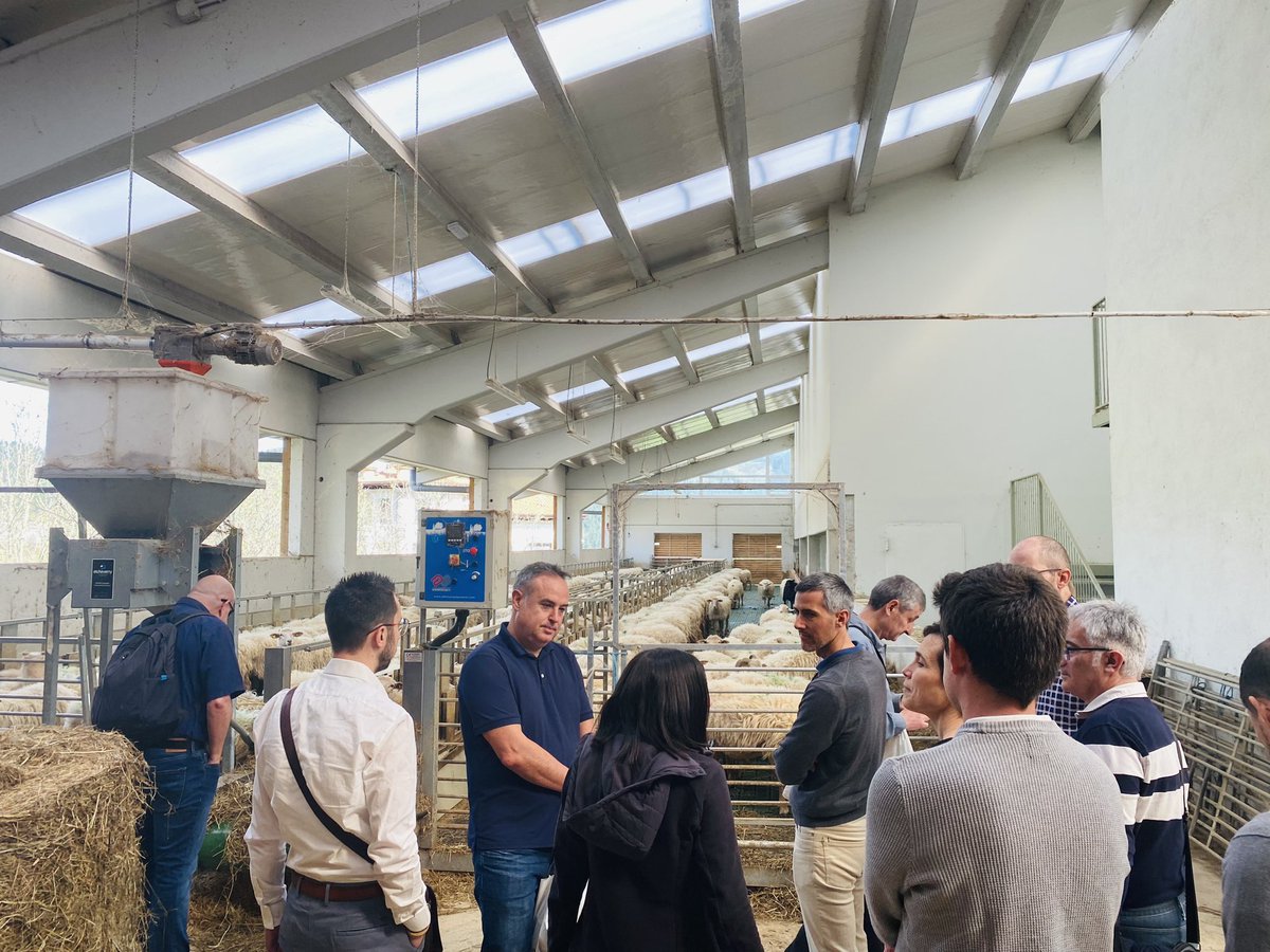 EncoraTeam's tweet photo. Arrancamos el segundo evento de Encora del 2023 🥳

En esta ocasión, nos encontramos en Idiazabal conociendo y descubriendo los verdes paisajes de Euskadi. 

Tendremos la oportunidad de disfrutar de los sabores que nos ofrecen los quesos de denominación de origen Idiazabal 🤤 https://t.co/5o2DBI9V8F
