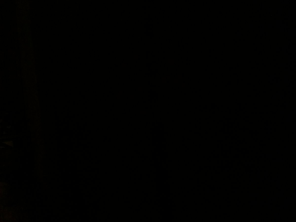 Window_Walter's tweet photo. What’s something commonly done that gets progressively weirder the more you think about it?

#Wordle649
cat/2023-03-30 ~ 05-56-02 https://t.co/ZSjJDkyYmy