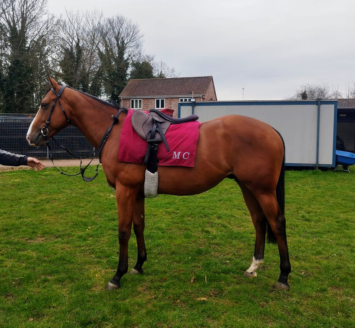 Matt crawley racing tweet media