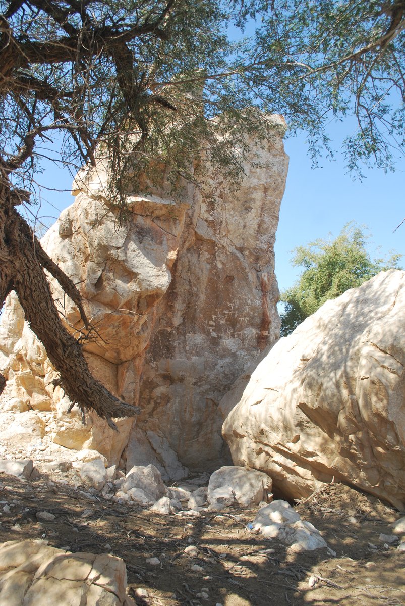 Archaeo_Oman's tweet image. Some very helpful Omanis pointed out this beautiful rock art site to us. This is where we will spend the rest of our field season. So much rock art!
#Oman #BeautyHasAnAddress #beautifuloman #ExperienceOman #OmanByYou