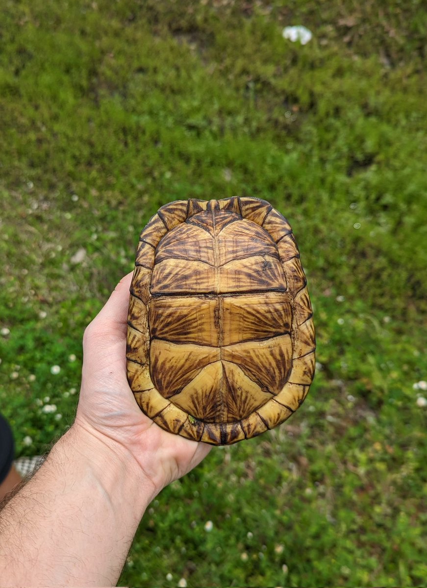 Arik Hartmann tweet media