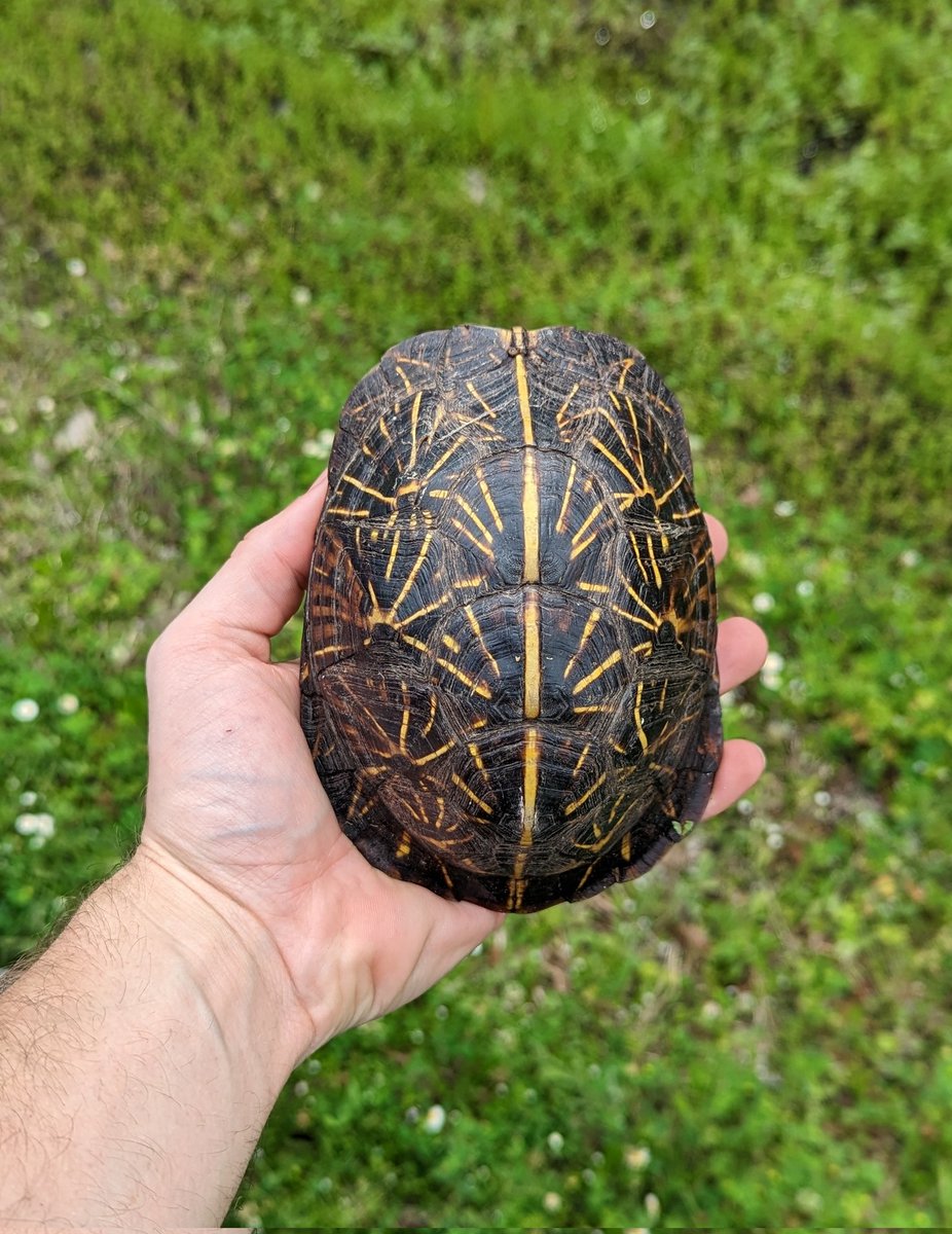 Arik Hartmann tweet media