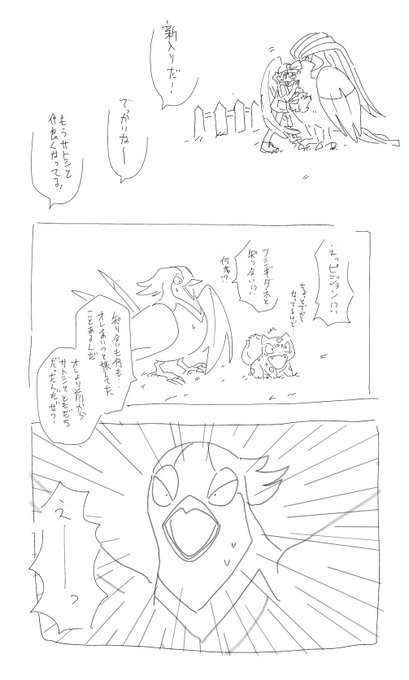 鳥ポケモン序列問題 