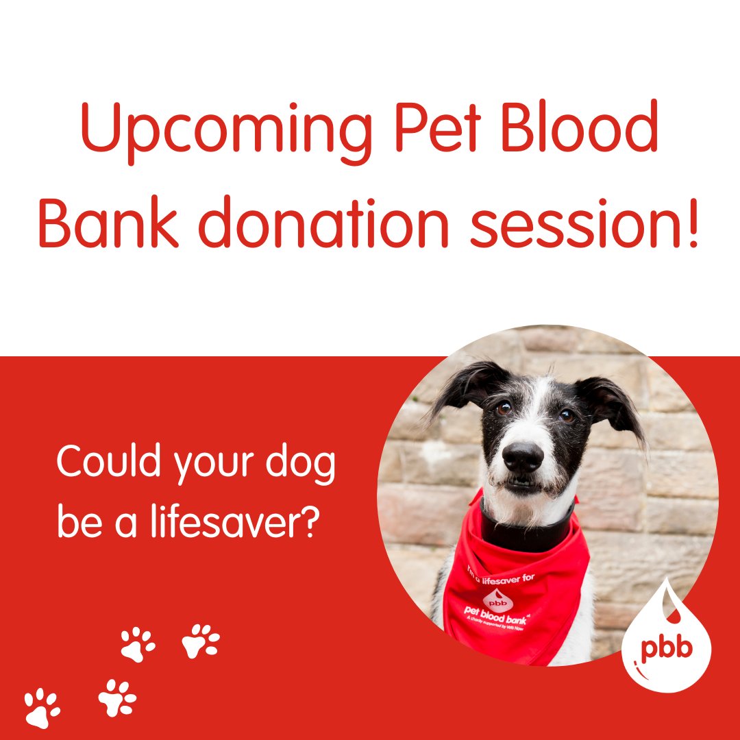 Woodcroft Veterinary Group tweet media