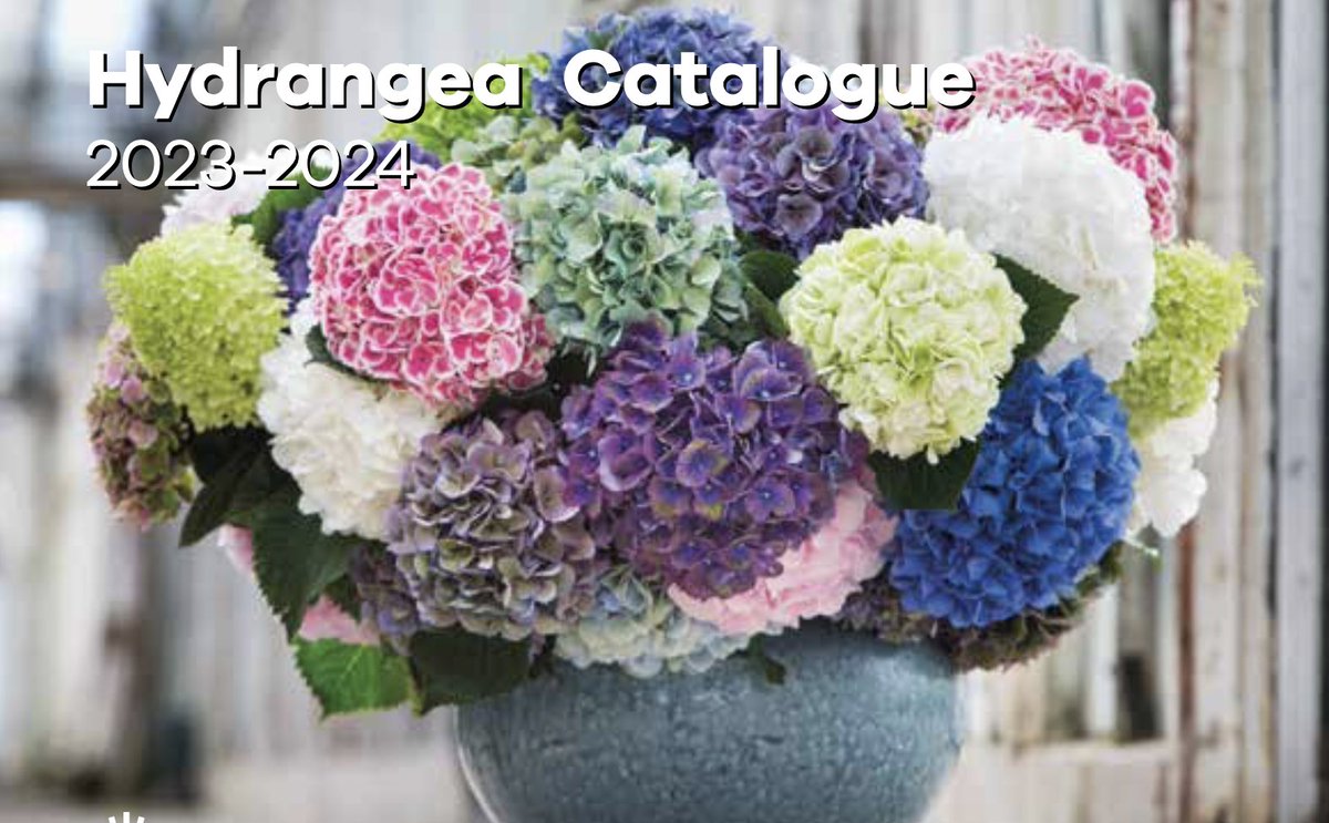 Trade Fairs by Royal FloraHolland tweet media