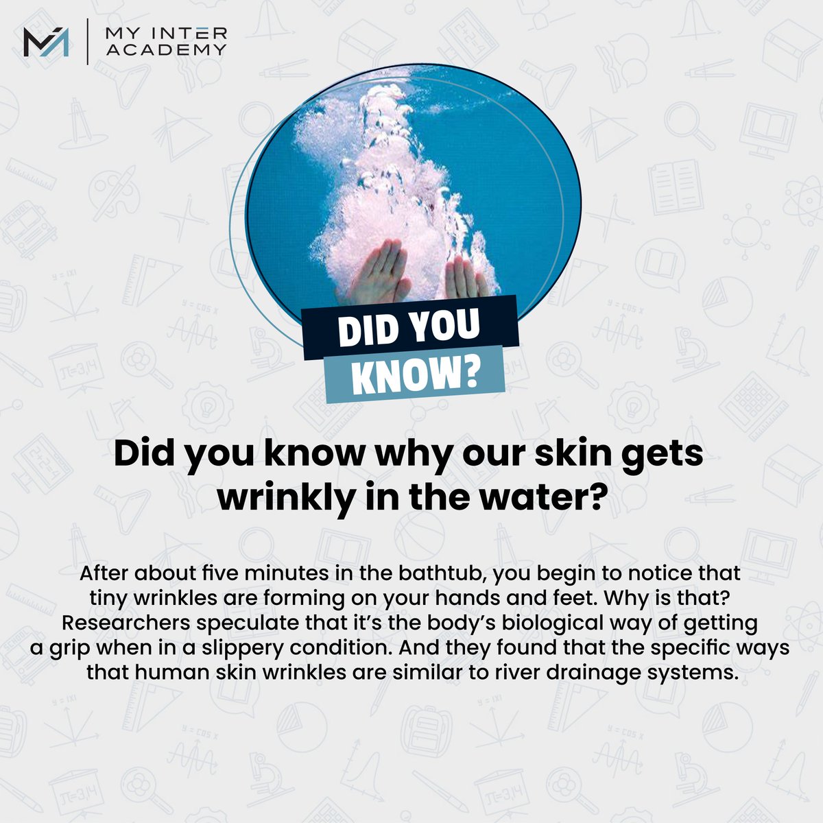 MyInterAcademy2's tweet photo. Did you know why our skin gets wrinkly in the water? 
WhatsApp now at 03330694951

#MIA #ECAT #MDCAT #XII #onlinelearning #education #information

✅For any further query contact @ 0333-0694951 https://t.co/fsCVgGVy5J