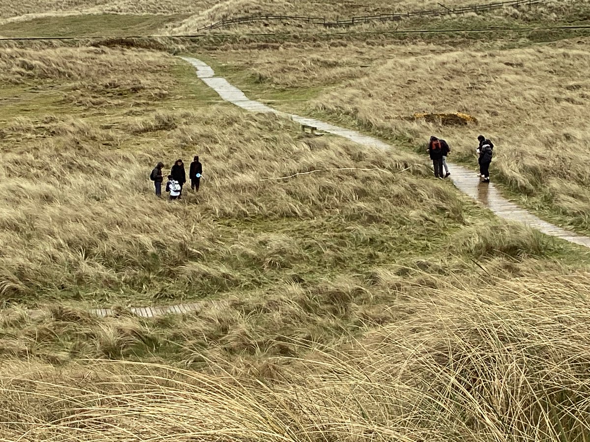 LangleyGSGeog's tweet photo. Day 3: sand dune succession fieldwork at Bushfoot - trampling, exploring, struggling through the landscape to see if it fits the model of ph, soil depth, vegetation cover. Then back to the centre to do Mann-Witney U tests. https://t.co/XL8hDSgBrS