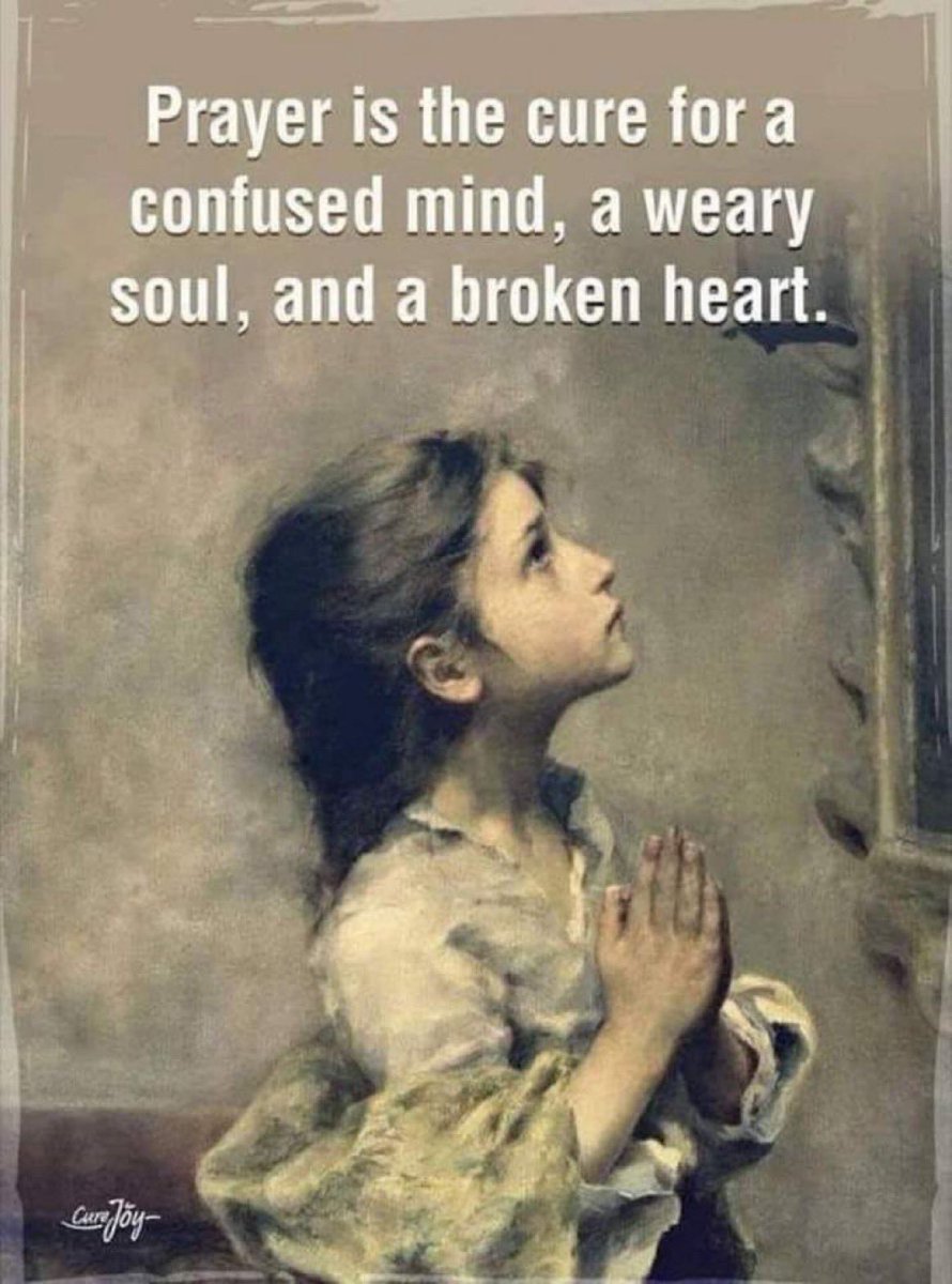 JMRG65's tweet photo. 🌹🙏🏻🌹 https://t.co/ojqes1QHwX