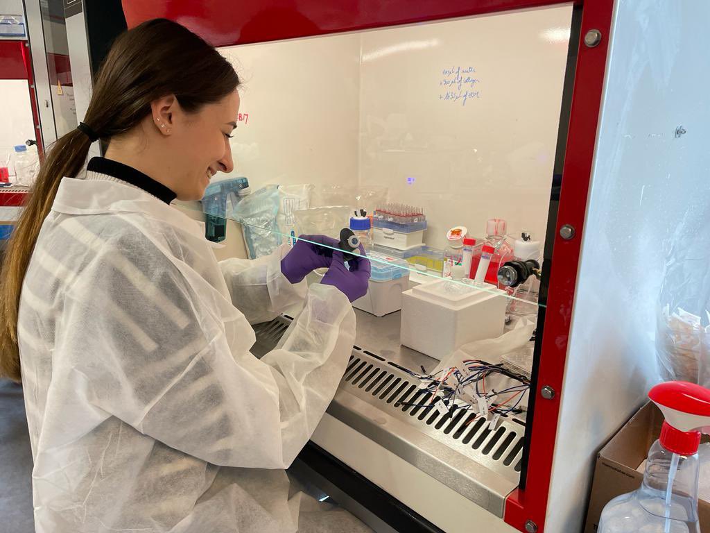 Cistem Project tweet media