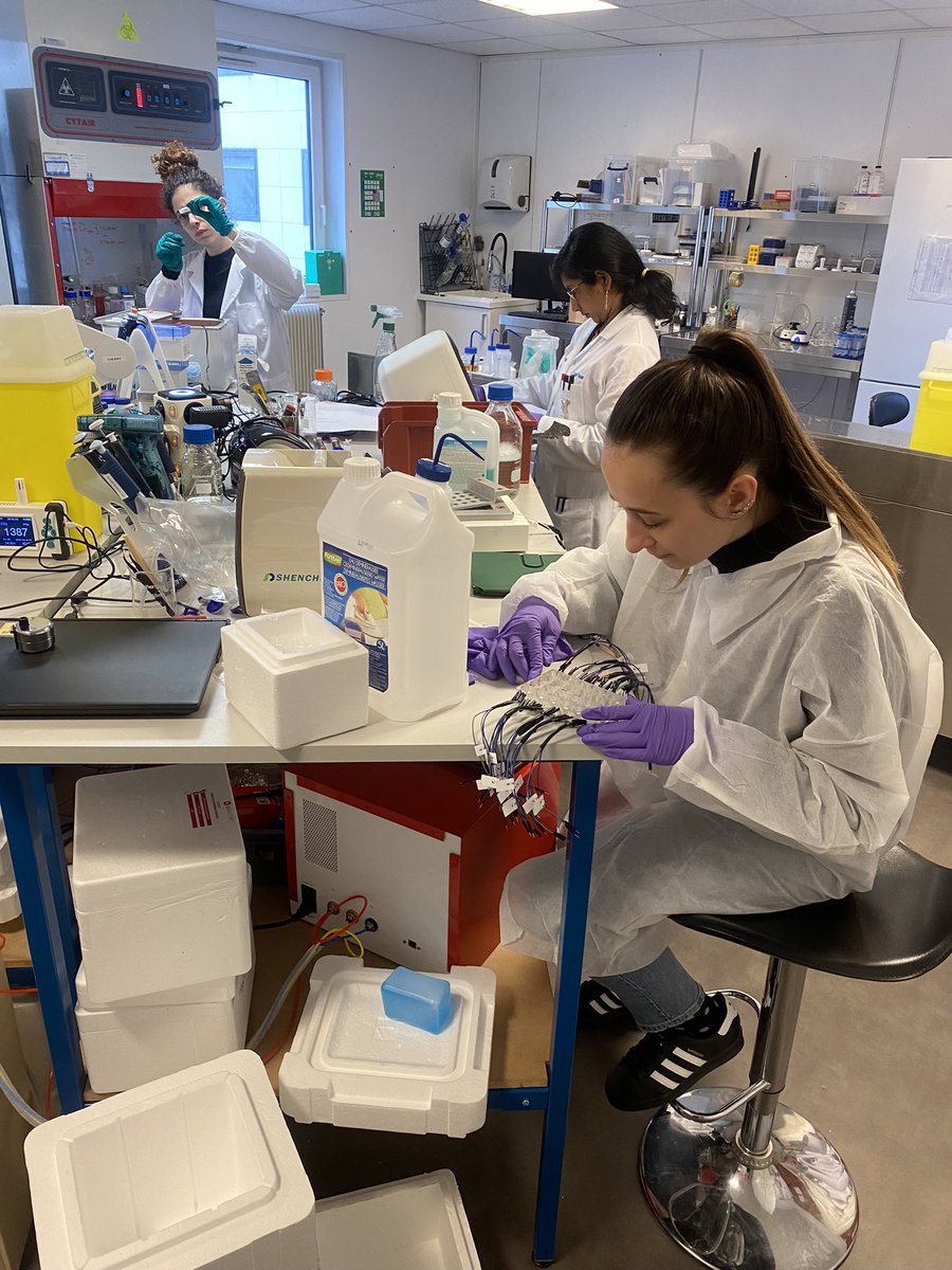 Cistem Project (@cistem_project) on Twitter photo Sara Joksovic from <a href="/BioSenseRS/">BioSense Institute</a> working on the TEER measurements with endothelial cells during her secondment <a href="/CherryBiotech/">Cherry Biotech</a>. 👩🏻🔬 Sara Joksovic from <a href="/BioSenseRS/">BioSense Institute</a> working on the TEER measurements with endothelial cells during her secondment <a href="/CherryBiotech/">Cherry Biotech</a>. 👩🏻🔬