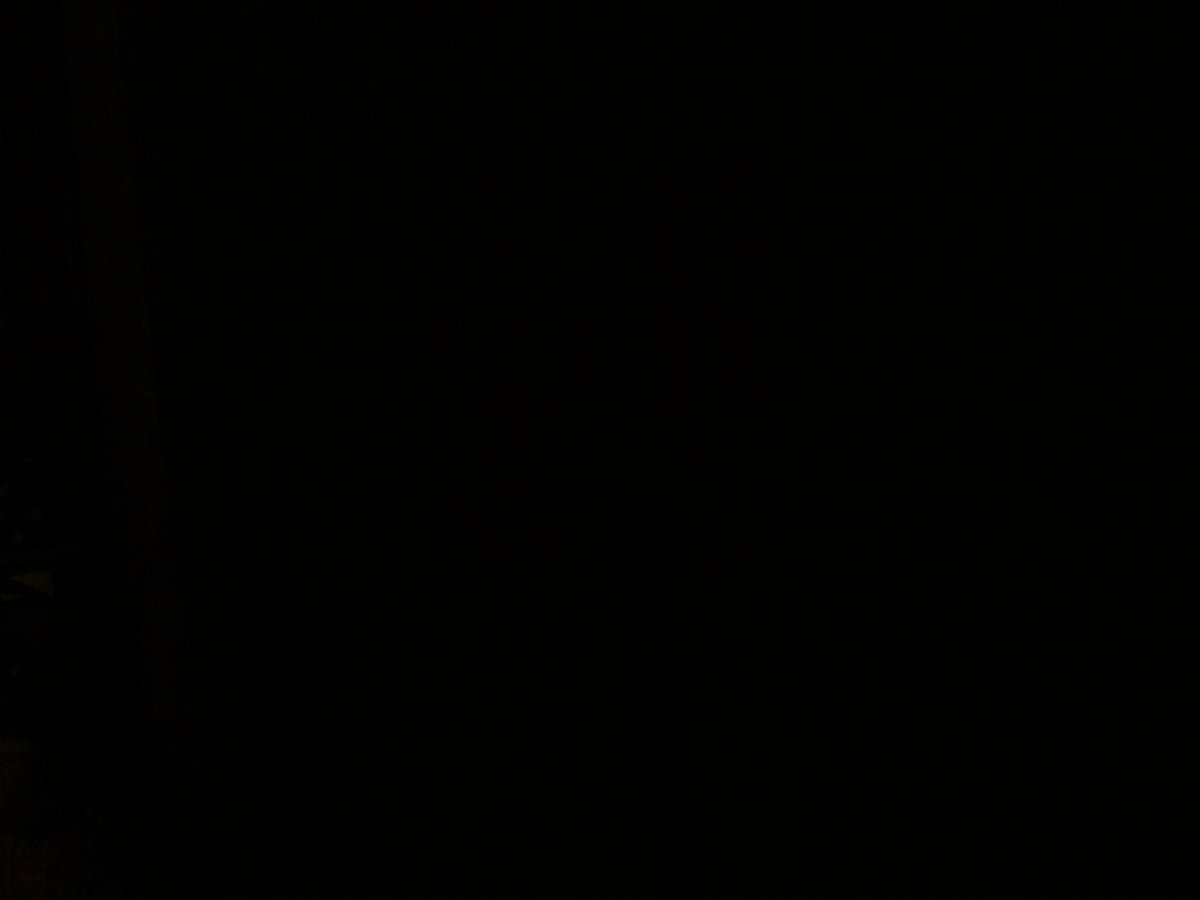 Window_Walter's tweet photo. What were you completely certain of until you found out you were wrong?

#RepBX
cat/2023-03-30 ~ 06-10-02 https://t.co/9s6YCWZiWe