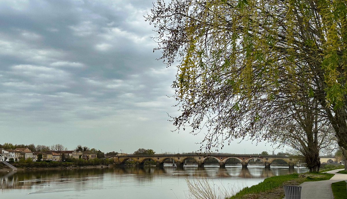 Entre deux rives #Dordogne 

#photo #photooftheday #libourne #NaturePhotography #nature #thursdayvibes