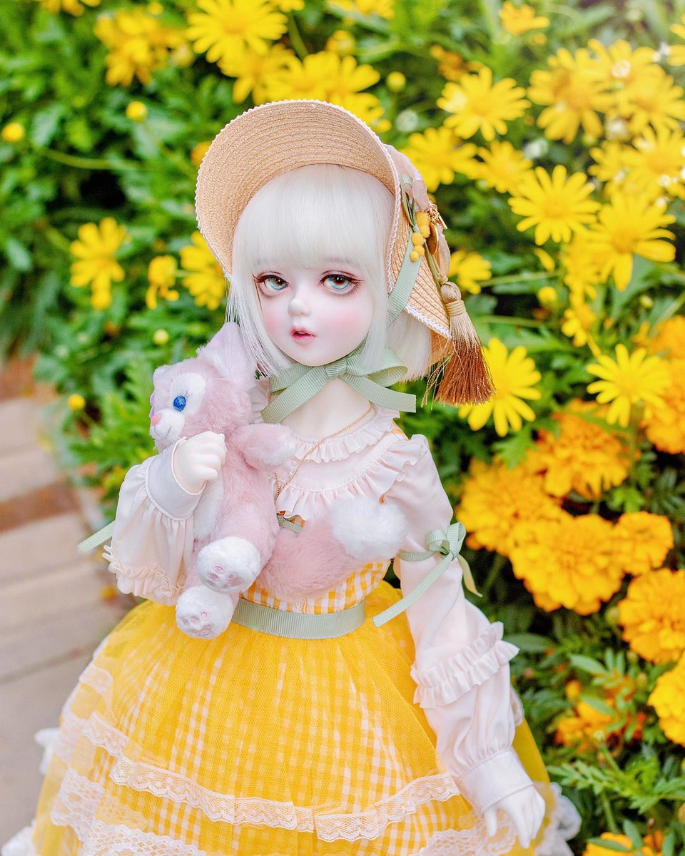 💛💛💛💛💛

#foveo
#foveo_pieb