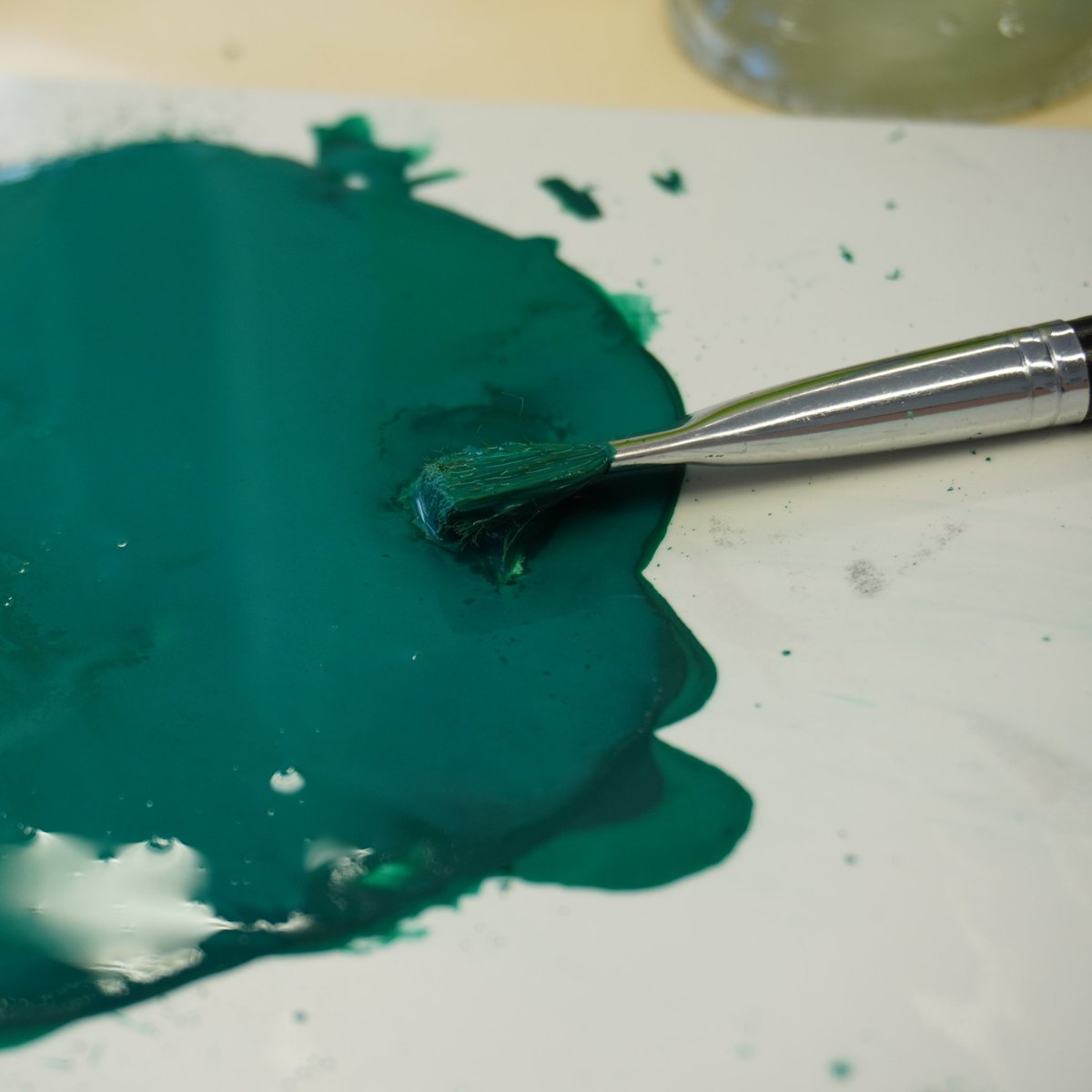 YoungConservators tweet media