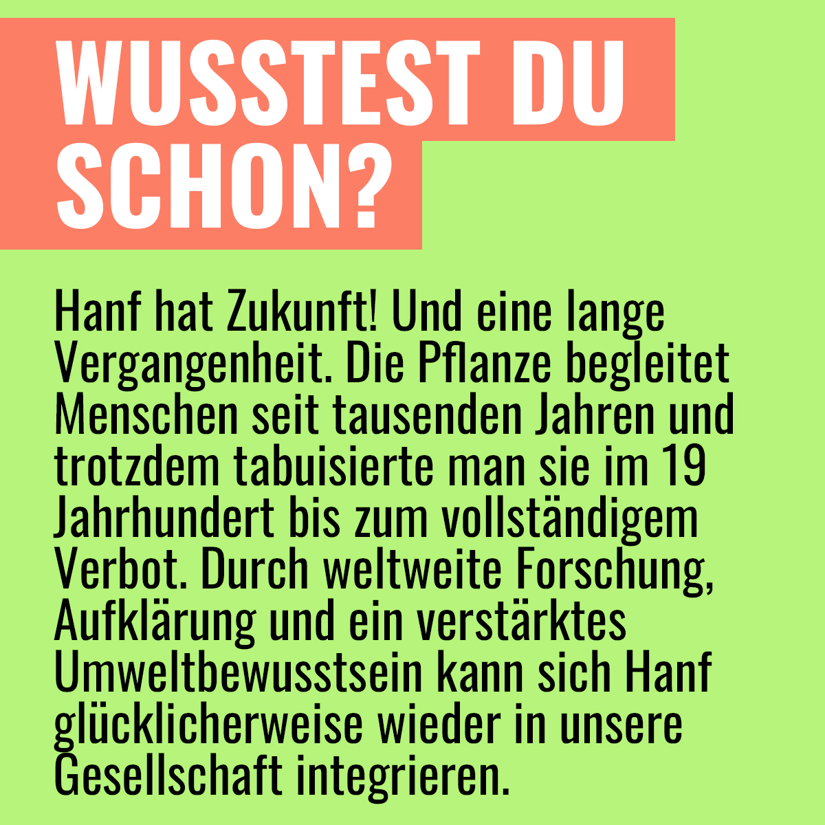 myweedo's tweet image. 🚜 Erst seit 1996 ist der Anbau von Nutzhanf in Deutschland wieder erlaubt. Dabei ist Hanf sehr vielseitig und kann für unterschiedlichste Produkte verwendet werden🌱🙏

 #weedo #wusstestduschon #schongewusst #nutzhanf #vielseitigkeit #regional #forschung #umwelt #zukunft