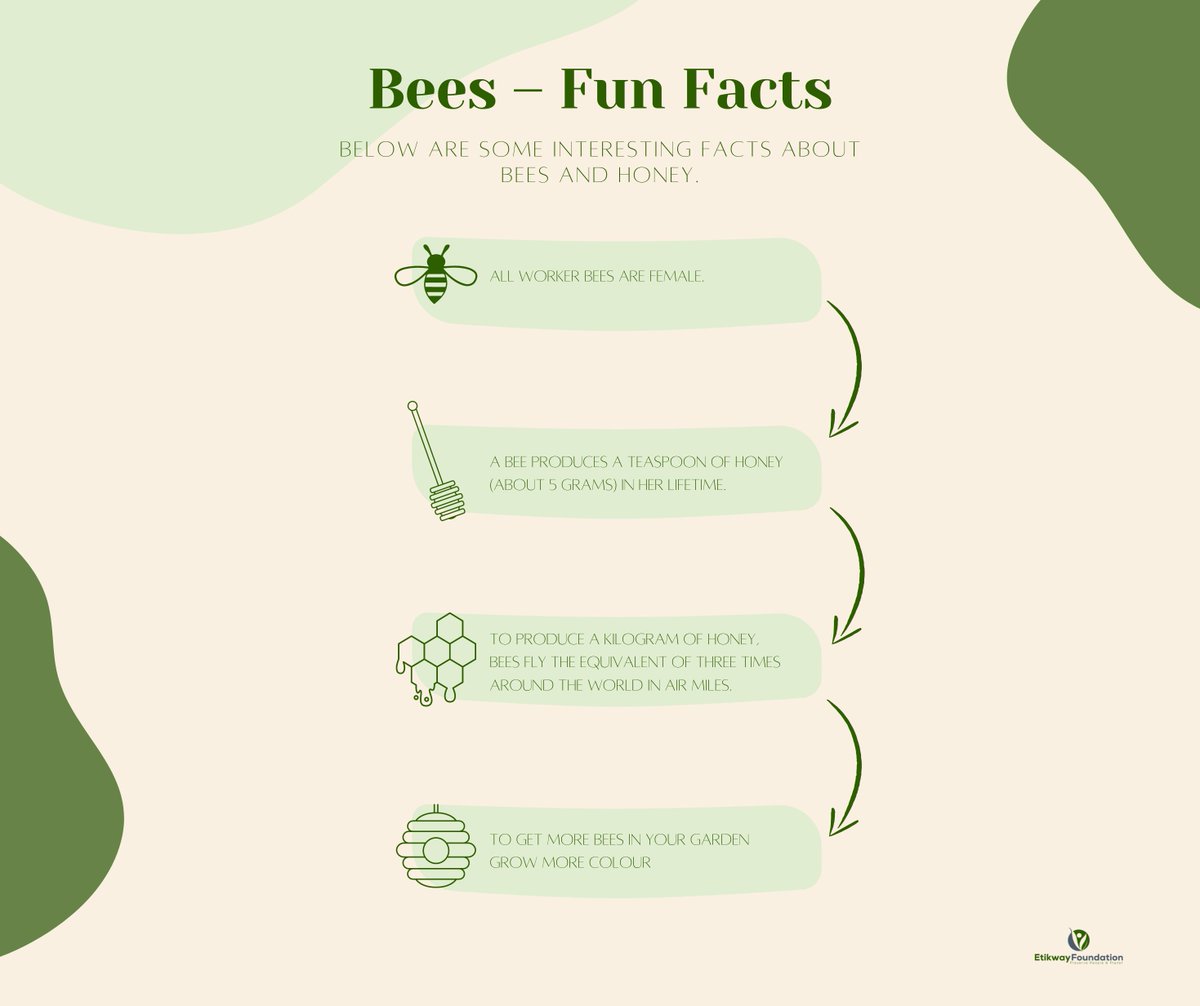 EtikwayF's tweet photo. Some interesting facts about bees 🐝
#etikwayfoudation #environment #sustainable #sustainability #bees #honey #nature #organicbeekeeping #savebees #savethehoneybees #savethebeesorganizations #protectthebees #savethebeesplantmoretreescleantheseas #savethebeesfoundation https://t.co/W9r9c00RIq