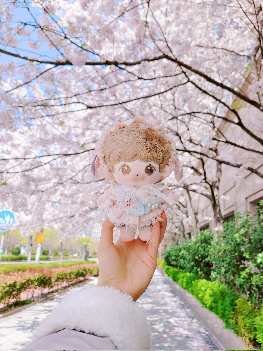dodam_som's tweet photo. 봄볕이 이렇게나 따사로운데🌸🌿 https://t.co/oIPjlHQzmm