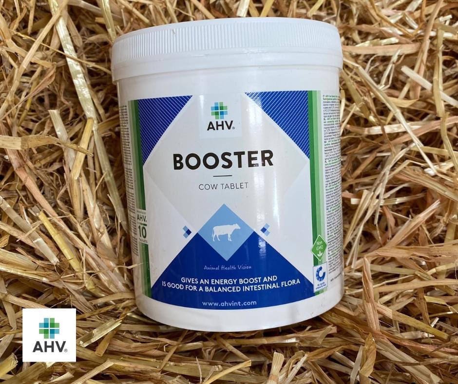 𝗣𝗿𝗲𝗽𝗮𝗿𝗲 𝘆𝗼𝘂𝗿 𝗺𝗮𝗶𝗱𝗲𝗻 𝗵𝗲𝗶𝗳𝗲𝗿𝘀 𝗳𝗼𝗿 𝘁𝗵𝗲𝗶𝗿 𝗳𝗶𝗿𝘀𝘁 𝘀𝗲𝗿𝘃𝗲 𝘄𝗶𝘁𝗵 𝗔𝗛𝗩 𝗕𝗼𝗼𝘀𝘁𝗲𝗿 𝗧𝗮𝗯𝗹𝗲𝘁 🐮

𝘼𝙃𝙑 𝘽𝙤𝙤𝙨𝙩𝙚𝙧 𝙏𝙖𝙗𝙡𝙚𝙩 gives your heifers an ENERGY boost which helps them hold to their first serve!⚡️

ahvint.com/en/find-your-a…