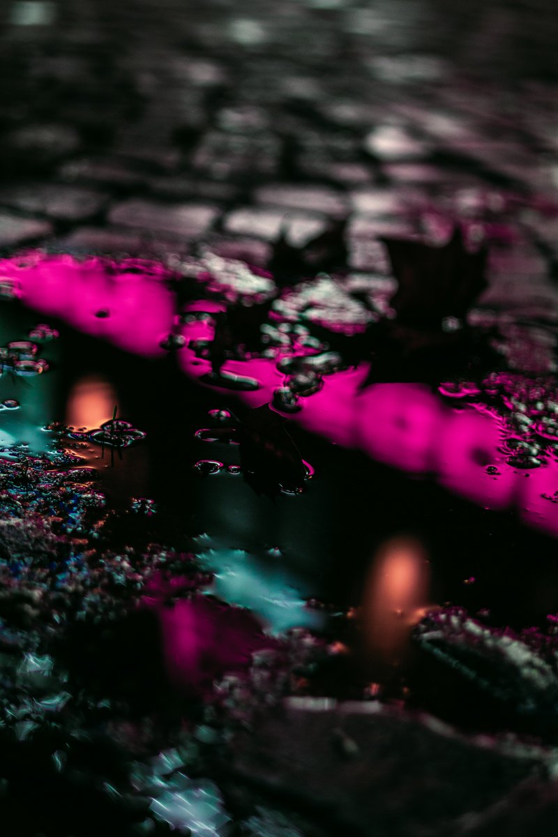 Margriet DeLuchs Photography tweet media