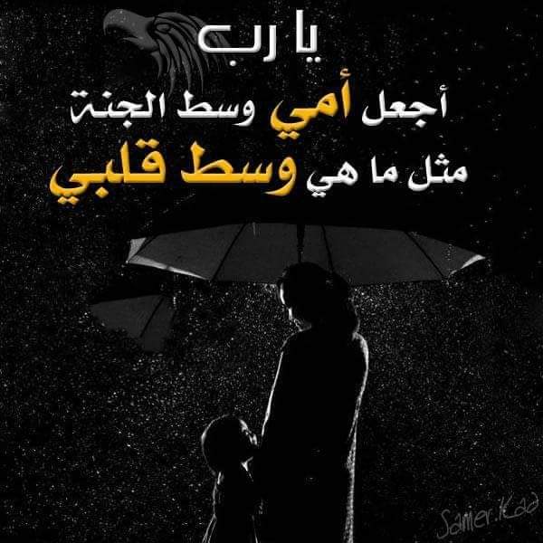 OsamaFaez_'s tweet photo. اللهم امين يا رب العالمين https://t.co/kuNHYHmtNe
