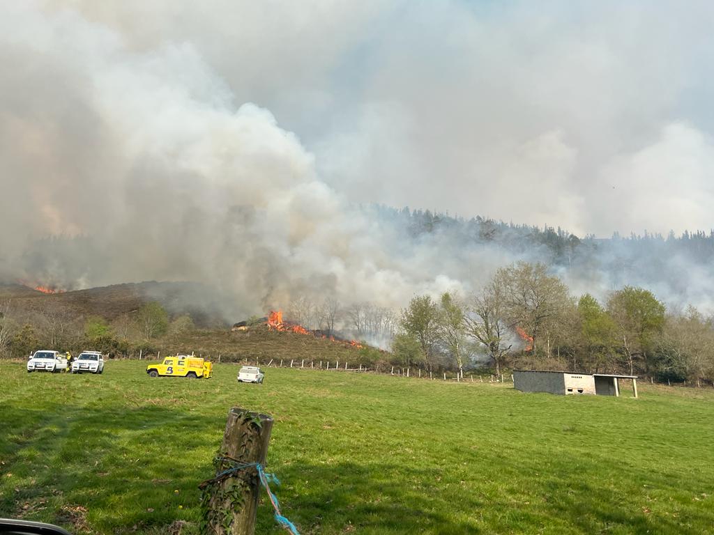 AT_Brif's tweet photo. 12:20📸#IFQues, Piloña #Asturias

El equipo de dos cuadrillas de 👨‍🚒#BomberosForestales @BrifTineo continua la lucha con las llamas en Piloña.

Fuerza compañeros!

Somos #BRIF de @mitecogob https://t.co/K7wN4kB10D