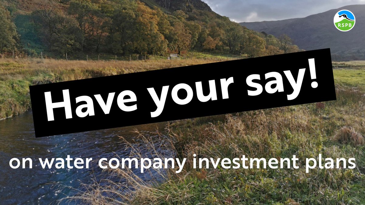 👀🌊🐟New Blog: Have your say! Nik Perepelov, RSPB England Senior Policy Officer, encourages us to take part in consultations on water company investment plans ...

community.rspb.org.uk/ourwork/b/rspb…