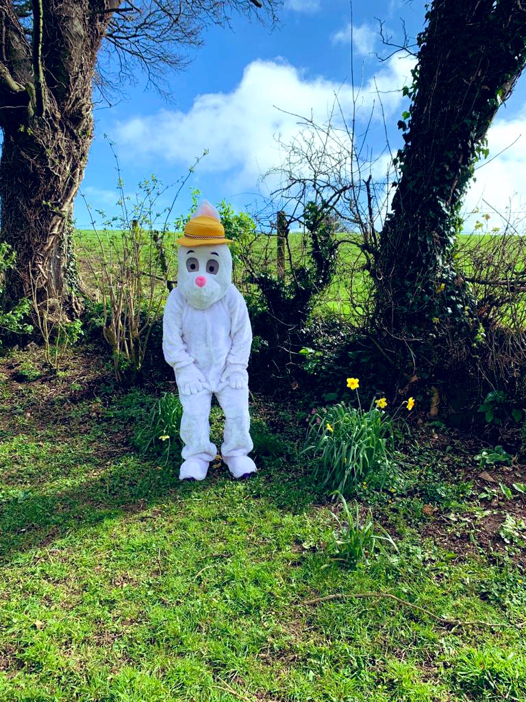 scoilbhrideNS's tweet photo. Spotted onsite early this morning but no sightings since!!!! We will keep you updated!!!!🐣🐰💛 #helpingourmindstosmile #memories @PDST_Hwellbeing @HSEschoolsteam https://t.co/7Jxu3S8Pig