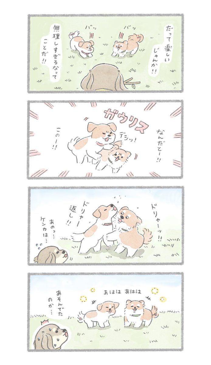 2回目のドッグラン②
#こんにちはいぬです 