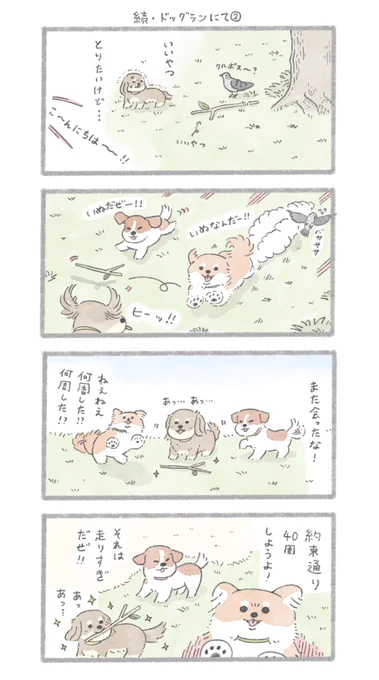 2回目のドッグラン②#こんにちはいぬです 