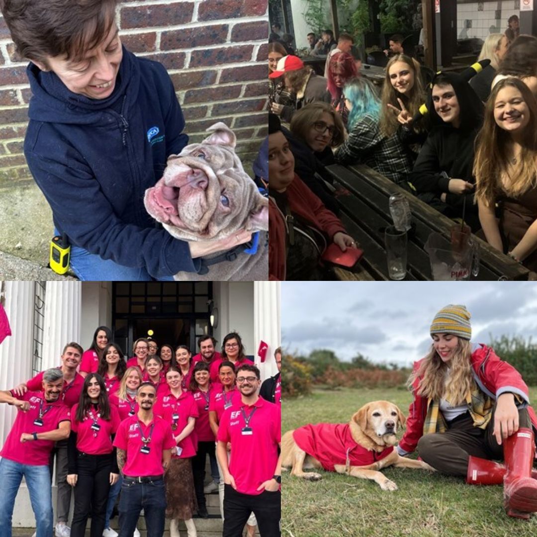 Our 39 mile challenge has already raised an amazing £864 for the Shelter but it's not too late to sponsor them in their final leg. rspcabrighton.enthuse.com/pf/ava-aubrey-… rspcabrighton.enthuse.com/pf/hazel-tarra… rspcabrighton.enthuse.com/.../abbie-deac…... rspcabrighton.enthuse.com/pf/ana-mousaco