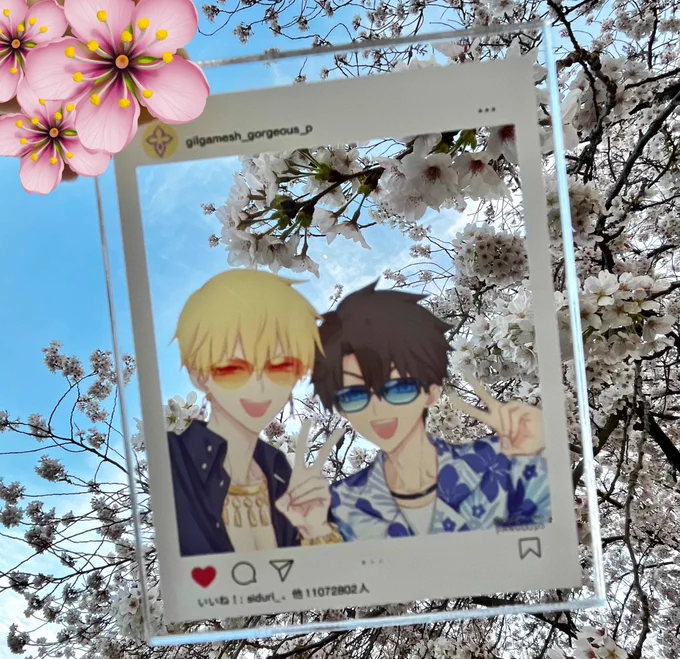 桜また見てきた!今度は満開with半月 