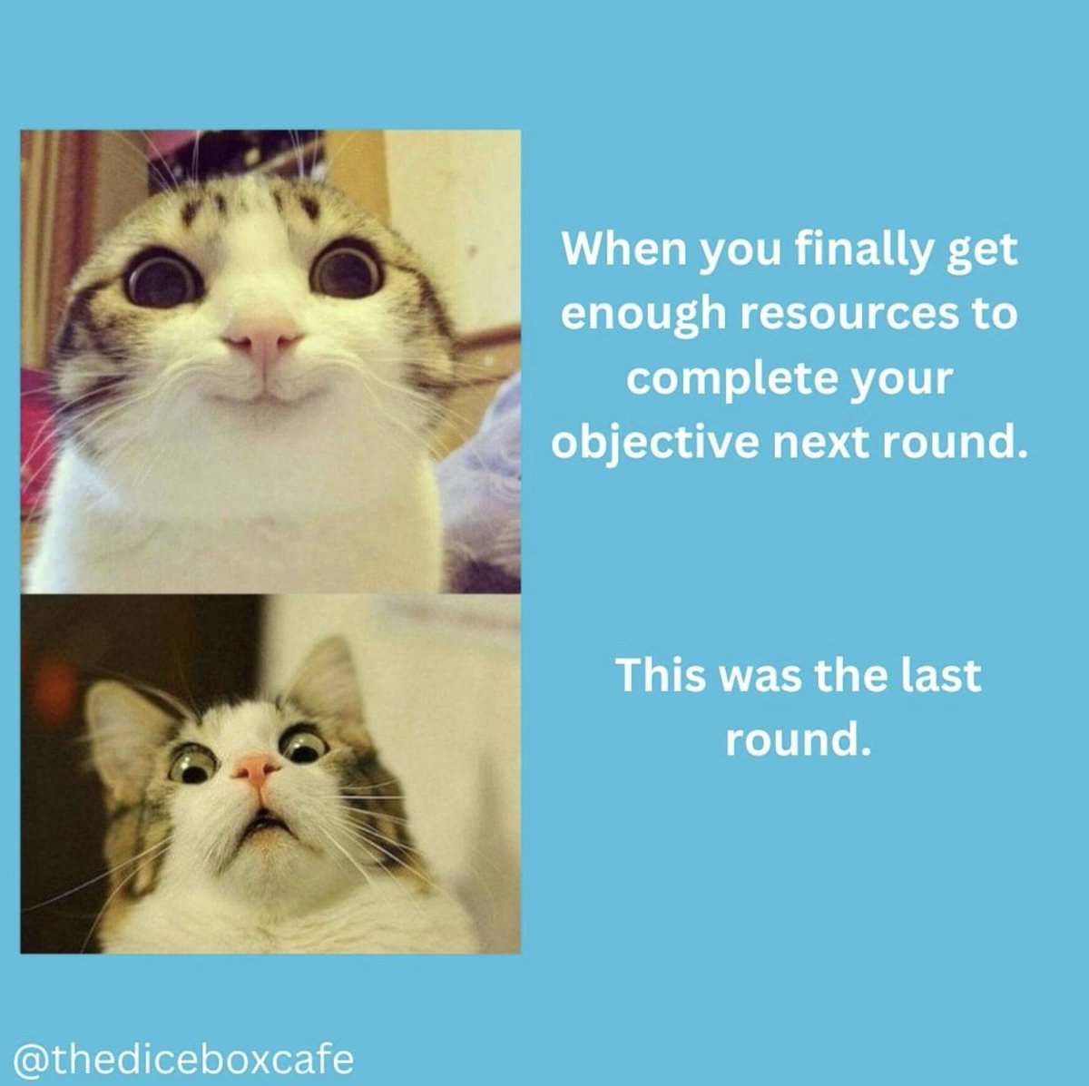 The Dice Box Board Game Cafe tweet media