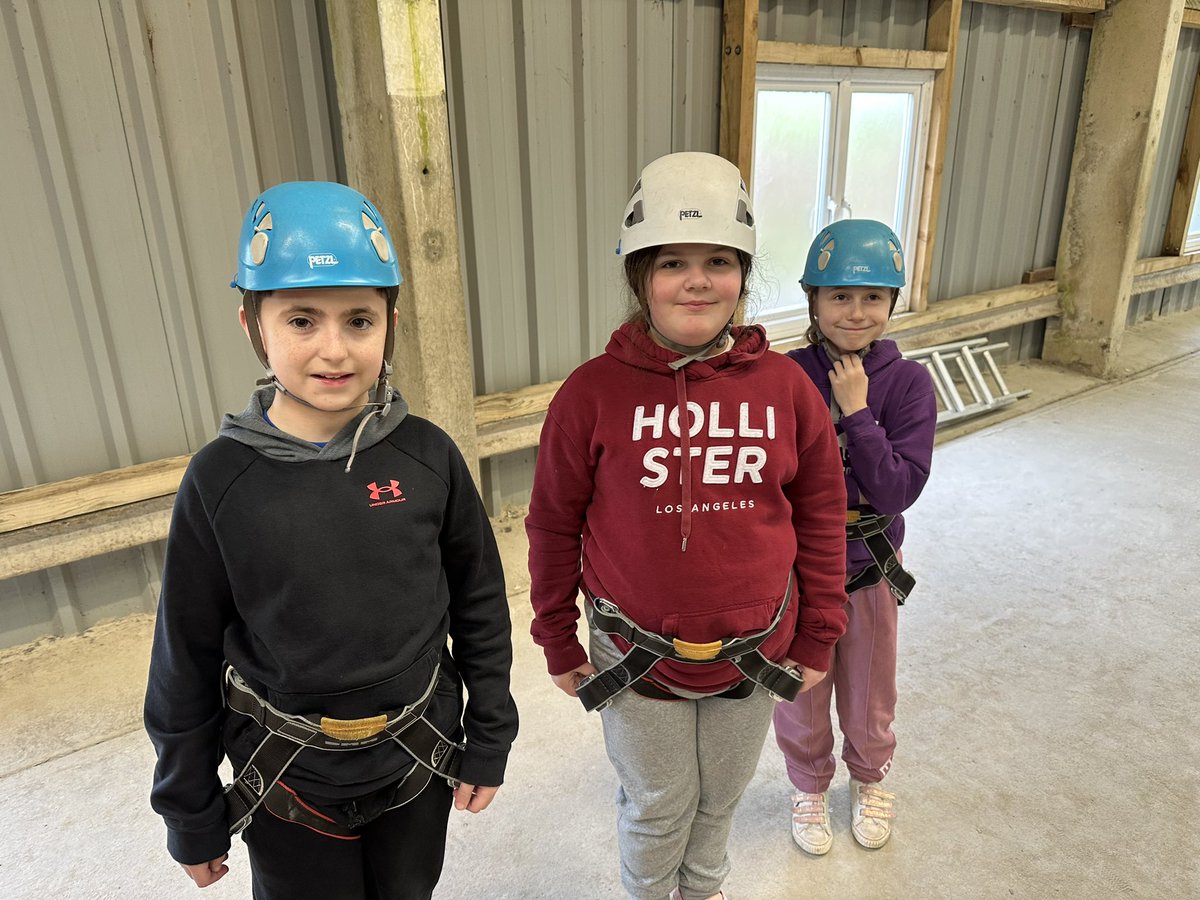 Ysgol Y Tymbl (@ysgtymbl) on Twitter photo 