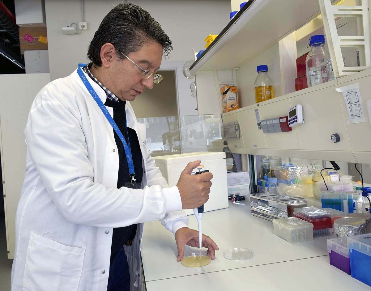 Casa de la Ciència CSIC València (@csicval) on Twitter photo Un grupo de investigación del <a href="/i2sysbio/">I2SysBio</a> desarrolla una molécula basada en los #fagos, virus que matan bacterias. Según la OMS las #infecciones provocadas por #bacterias resistentes a antibióticos desbancarán al cáncer como primera causa de muerte en 2050.
delegacion.comunitatvalenciana.csic.es/moleculas-inte… Un grupo de investigación del <a href="/i2sysbio/">I2SysBio</a> desarrolla una molécula basada en los #fagos, virus que matan bacterias. Según la OMS las #infecciones provocadas por #bacterias resistentes a antibióticos desbancarán al cáncer como primera causa de muerte en 2050.
delegacion.comunitatvalenciana.csic.es/moleculas-inte…
