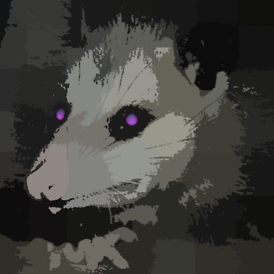 #NewProfilePic https://t.co/gO44NLKDKU<a href="/tag/newprofilepic"class="tags">#NewProfilePic</a>