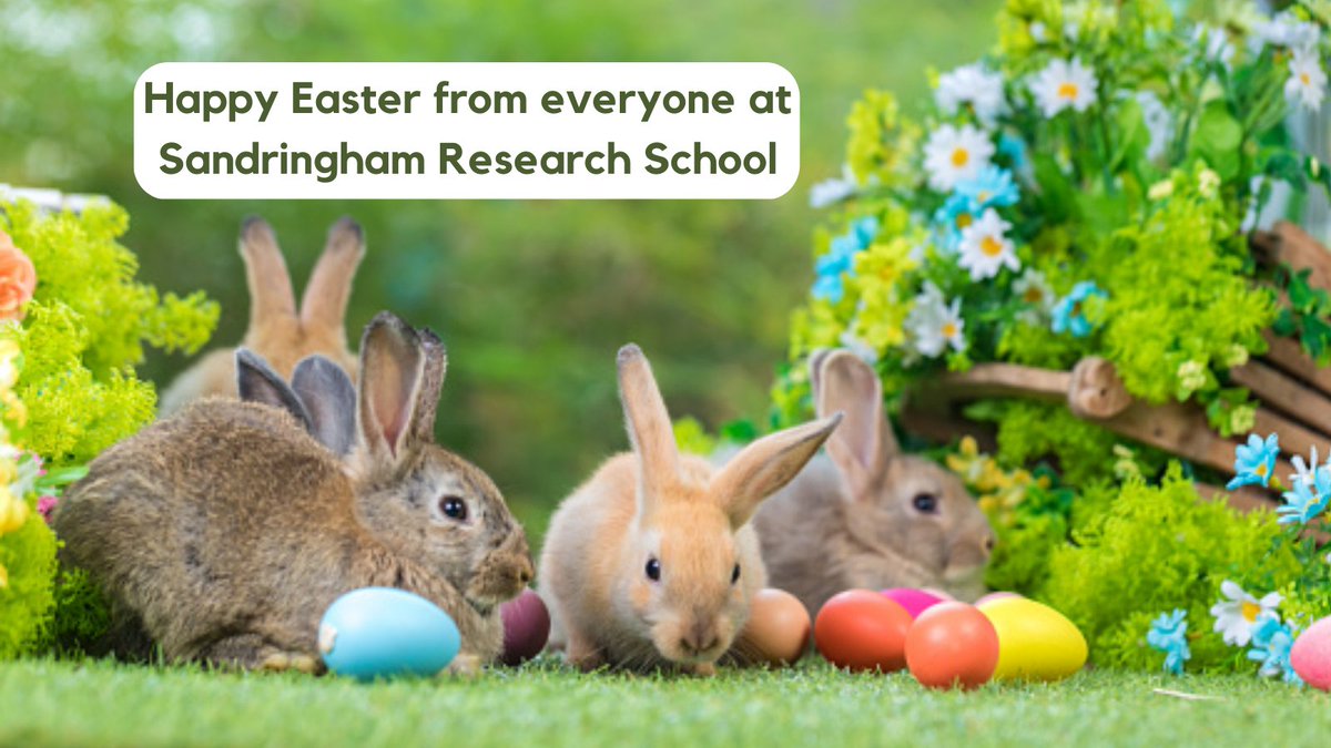 Sandringham Research (@sandresearch) on Twitter photo 