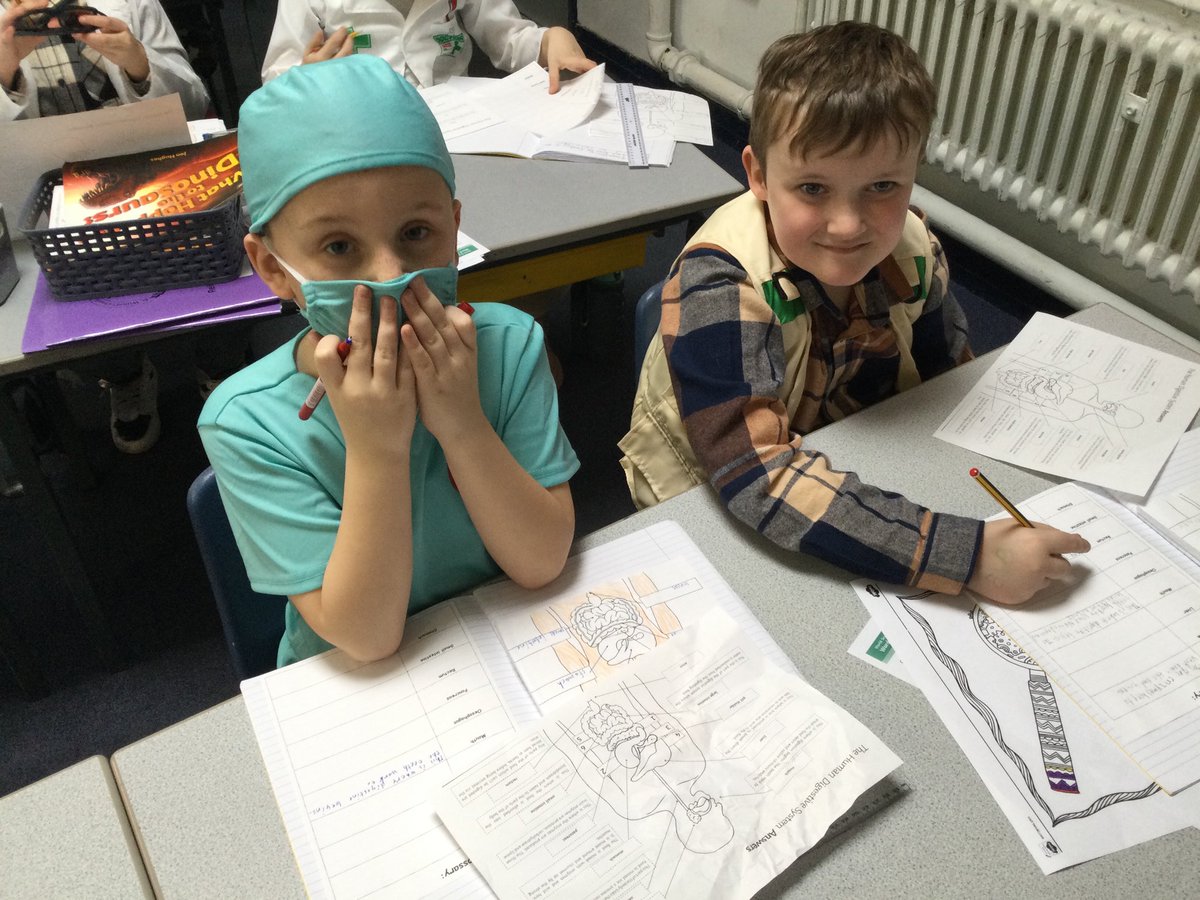 St_Wilfrids_4B's tweet photo. Learning all about our digestive system. #teethanddigestion #scienceday #learningtogether https://t.co/9kFoEMOk8L