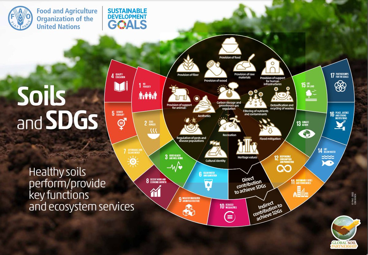 #HealthySoils are a crucial component of ecosystems and are beneficious to society. They support multiple Sustainable Development Goals #SDGs, from reducing poverty and hunger to protecting biodiversity and mitigating climate change.