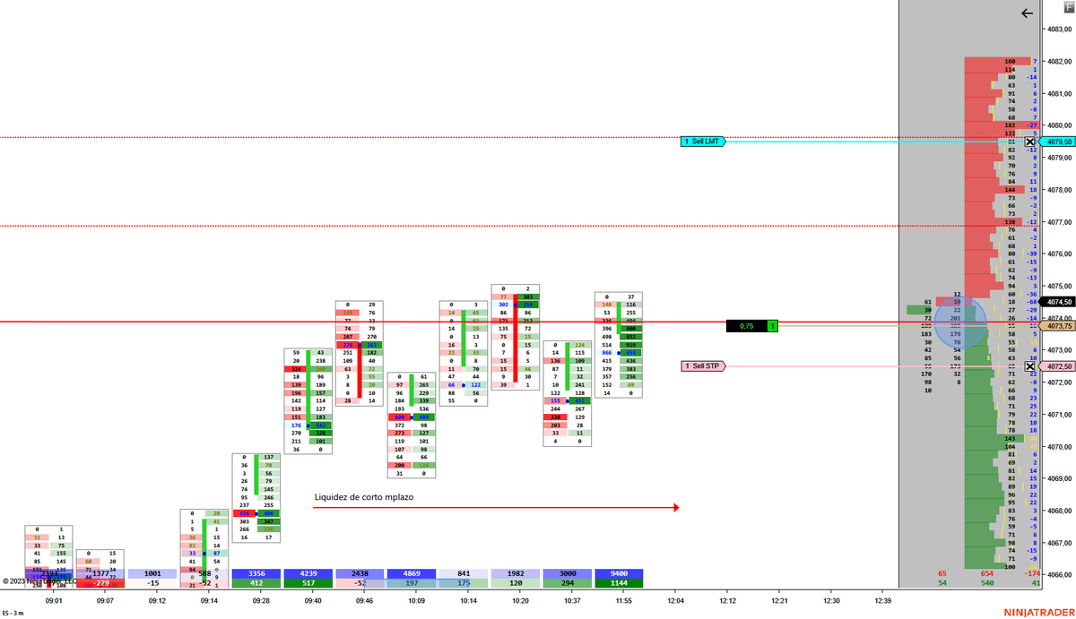 EliodoroMartin5's tweet photo. Finalmente se forma la iniciativa y se realiza el trade. Visualizador también a favor. #trading #bolsa #footprint #LevelII #ES https://t.co/9iC5mwQ0Qz