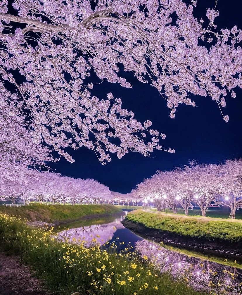 WORLD 2026 🌊 tweet media