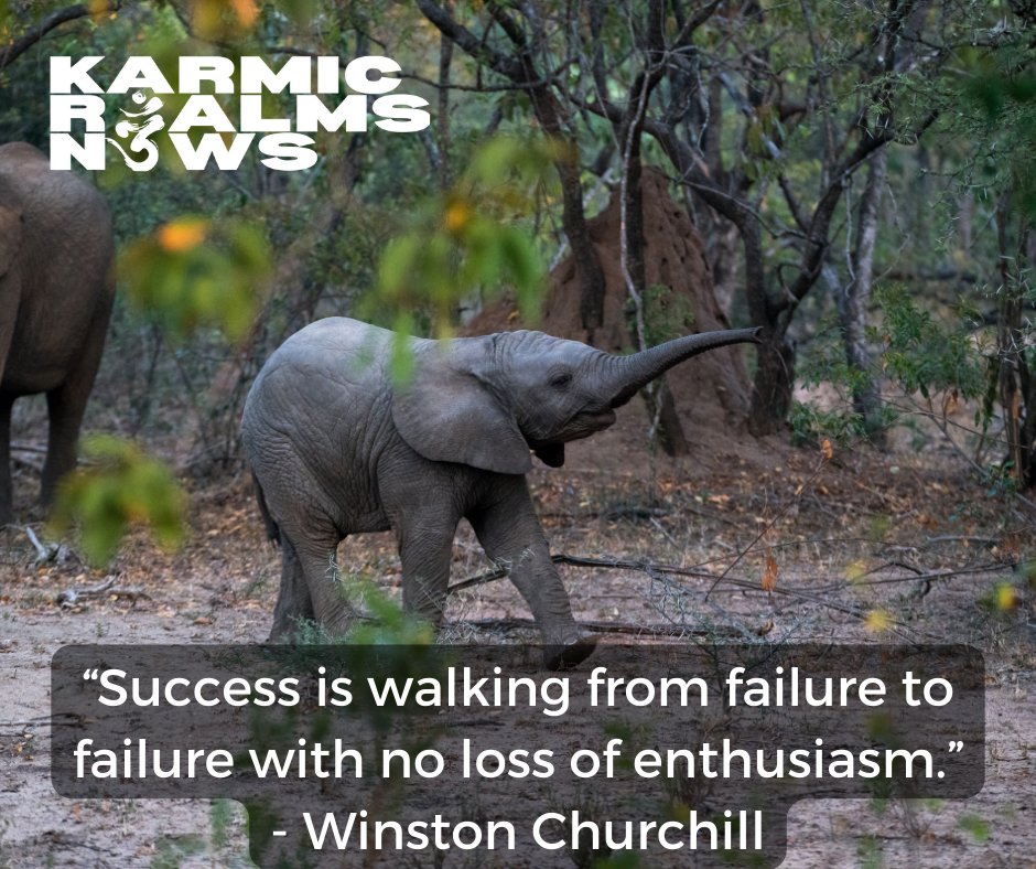 KarmicRealms's tweet photo. And that is the thought for the day!
#karmicrealms #karmicrealmsnews #positivity  #positivestateofmind #adventrure #courage #motivation #hope #change #experience #enthusiasm #success #winstonchurchill  #thoughts
https://t.co/2XZsr5MJfb https://t.co/mhGc7rZgZl