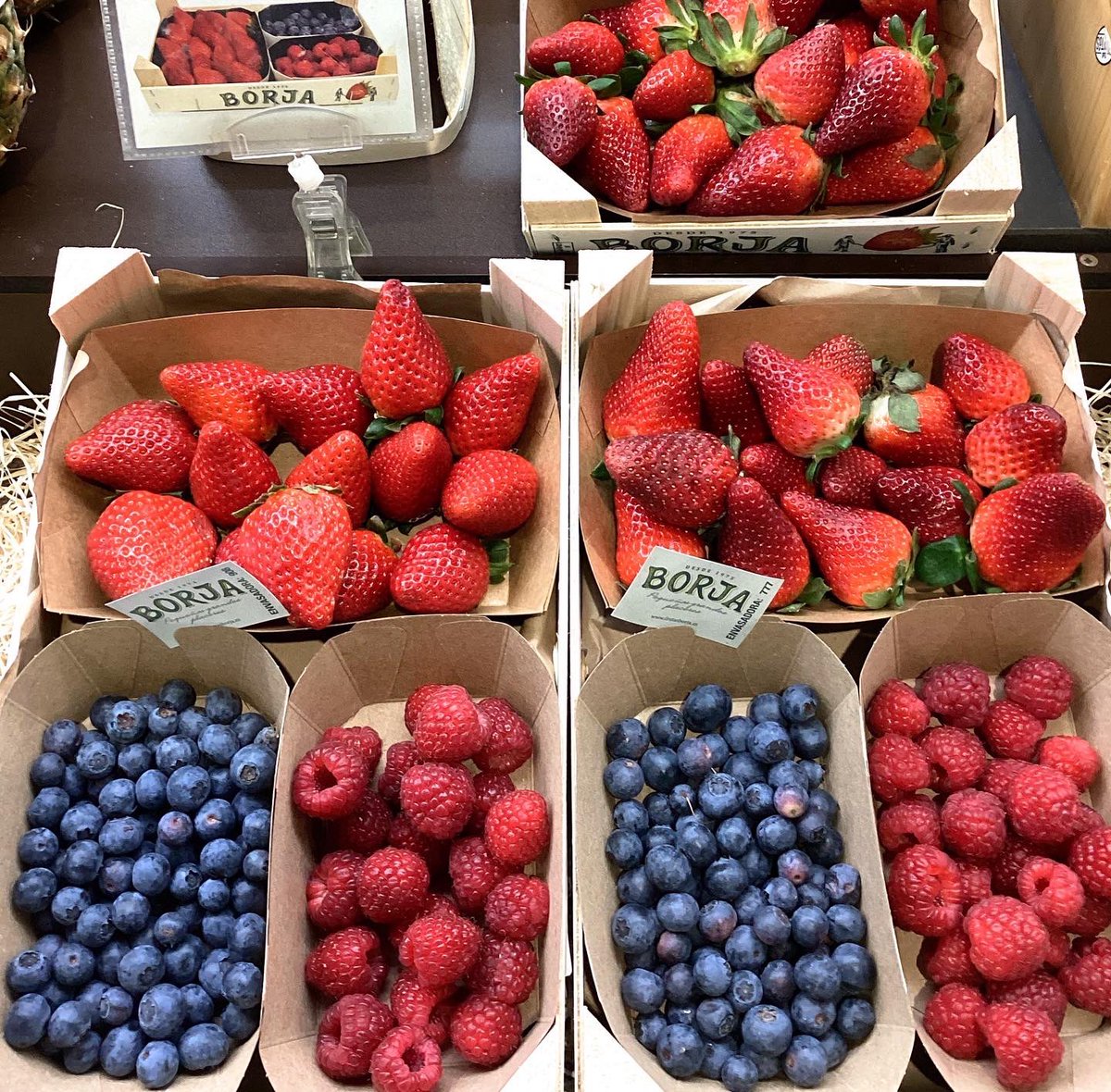 MercatDelesbob2's tweet photo. Ara a “FRUITA I VERDURA D. SERRANO” tenui el Mix de fruits vermells!! Nabius, Gerds i Maduixots 🫐🫐🍓🍓
Rica fruita que sempre pot ser la cirereta de qualsevol pastís 🍰 també acompanyant un ric iogurt o bé sols, sempre estaran boníssims 🤓

#nabius #arandanos #gerds #maduixots https://t.co/1DkXHhAC4v