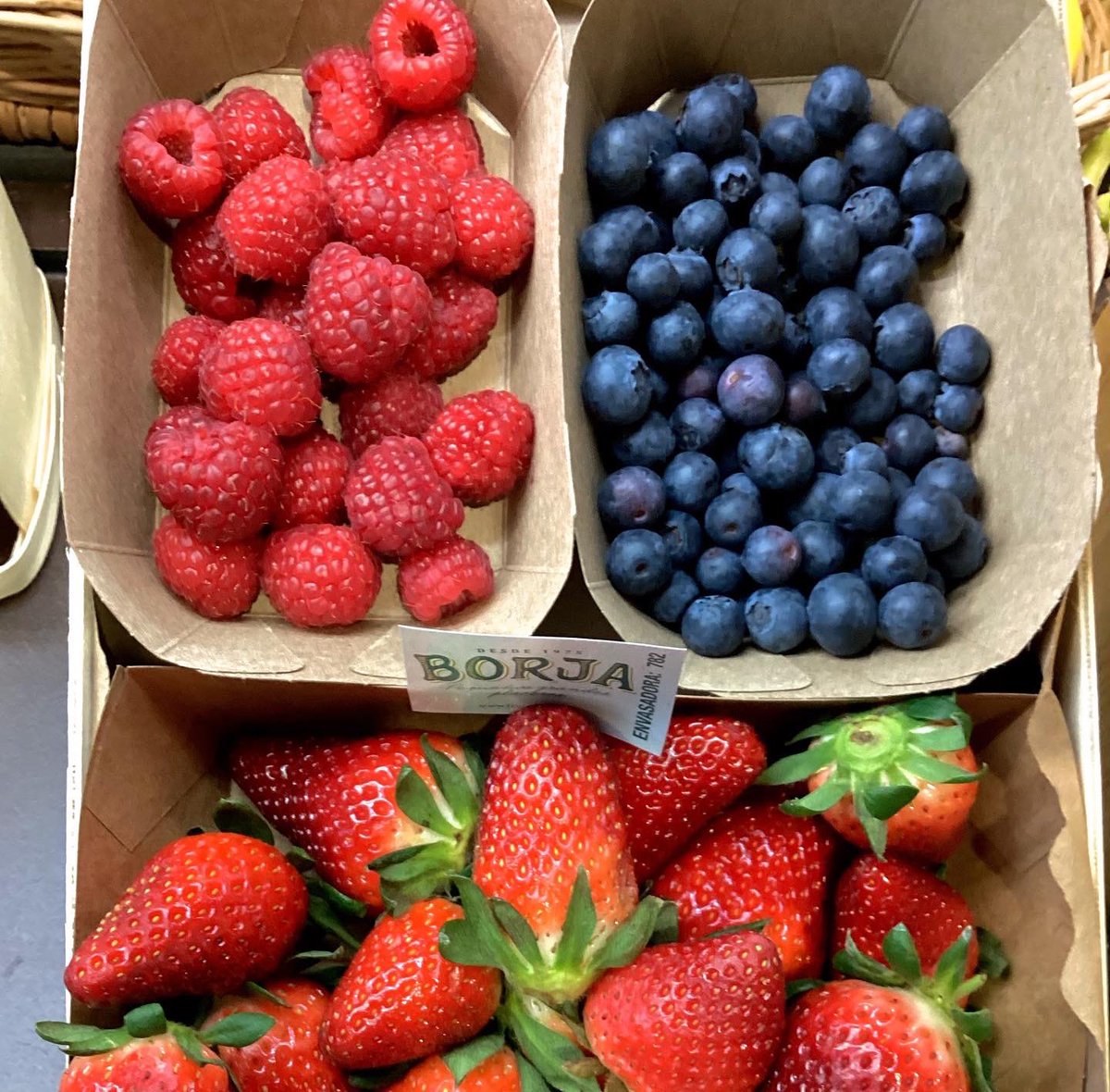 MercatDelesbob2's tweet photo. Ara a “FRUITA I VERDURA D. SERRANO” tenui el Mix de fruits vermells!! Nabius, Gerds i Maduixots 🫐🫐🍓🍓
Rica fruita que sempre pot ser la cirereta de qualsevol pastís 🍰 també acompanyant un ric iogurt o bé sols, sempre estaran boníssims 🤓

#nabius #arandanos #gerds #maduixots https://t.co/1DkXHhAC4v