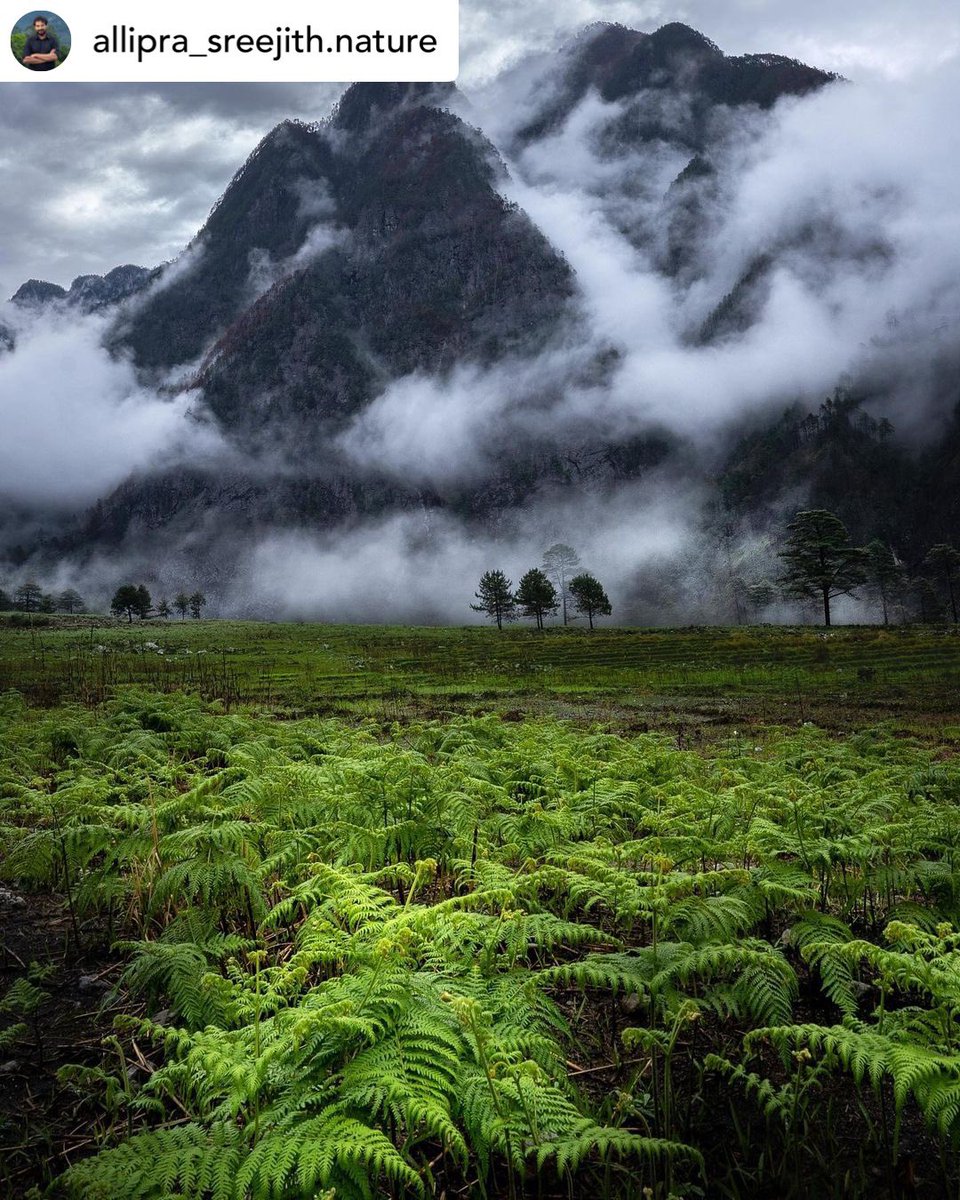 ArunachalTsm's tweet photo. Via @allipra_sreejith 
Nature The land where mountains are always in love with white blankets either of mist or snow.
#arunachalpradesh #arunachal #walong #kibithu #northeastindia #northeast #instalove #arunachaltourism #landscape #indianlandscape https://t.co/oBMNgUvDFB