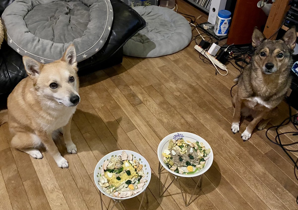 aquawan01's tweet photo. Happy Birthday ✨✨
今日はむぎとぎもの6歳の推定お誕生日でした🎉
手作りご飯でお祝いしました♪
今回も #DConedish さんに作ってもらったレシピで飾り付けをアレンジしました。ちょっとは似てるかな?😂
うちの子になってくれてありがとう。これからもたくさん遊びに行こうね! https://t.co/iqF0JXA3XY