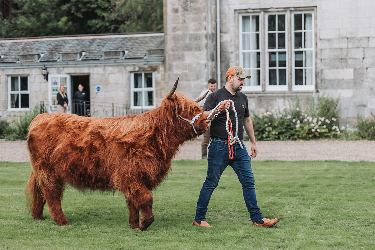 tietheknotscot's tweet photo. 😮 Wedding crasher at this Scottish wedding! 🐮🏴󠁧󠁢󠁳󠁣󠁴󠁿
 
#WeddingoftheWeek couple Kirsty + Dave were surprised and thrilled when a #highlandcow appeared at their wedding!
 
🔗 Tap the link to see all of this pretty family-focused wedding ⬇️

https://t.co/Ce1SgWgKHq

#scottishwedding https://t.co/ryugxsF3p0
