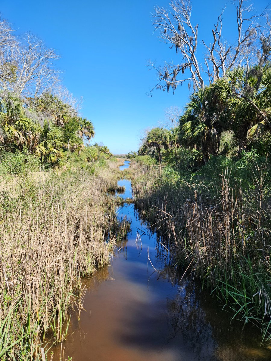 Fort Pulaski NM tweet media