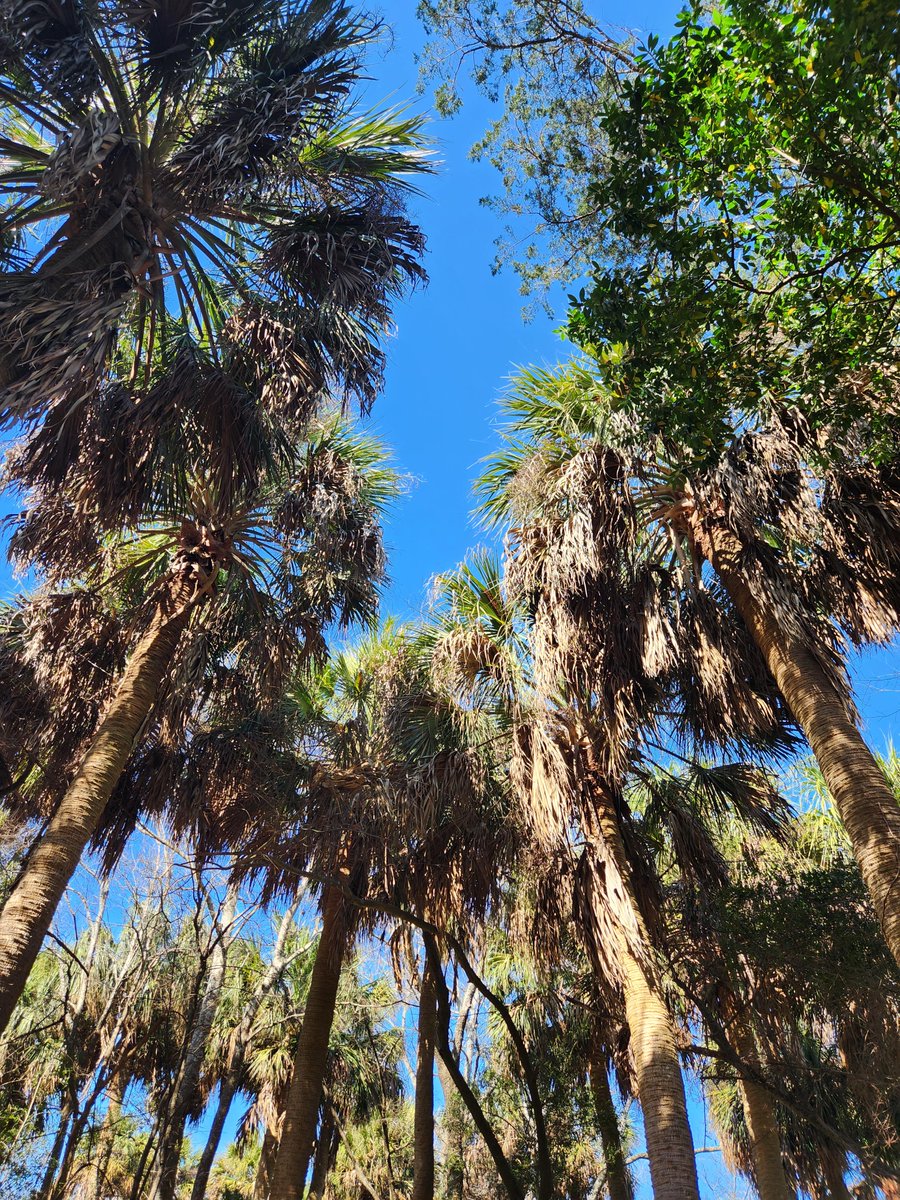 Fort Pulaski NM (@fortpulaskinps) on Twitter photo It’s #WalkInTheParkDay! Can you find these views and vistas as you walk our trails? Recreate these photos by taking a selfie when you find these spots and tag us <a href="/FortPulaskiNPS/">Fort Pulaski NM</a>! We hope you packed your trail bag -- scroll our page for some tips! It’s #WalkInTheParkDay! Can you find these views and vistas as you walk our trails? Recreate these photos by taking a selfie when you find these spots and tag us <a href="/FortPulaskiNPS/">Fort Pulaski NM</a>! We hope you packed your trail bag -- scroll our page for some tips!