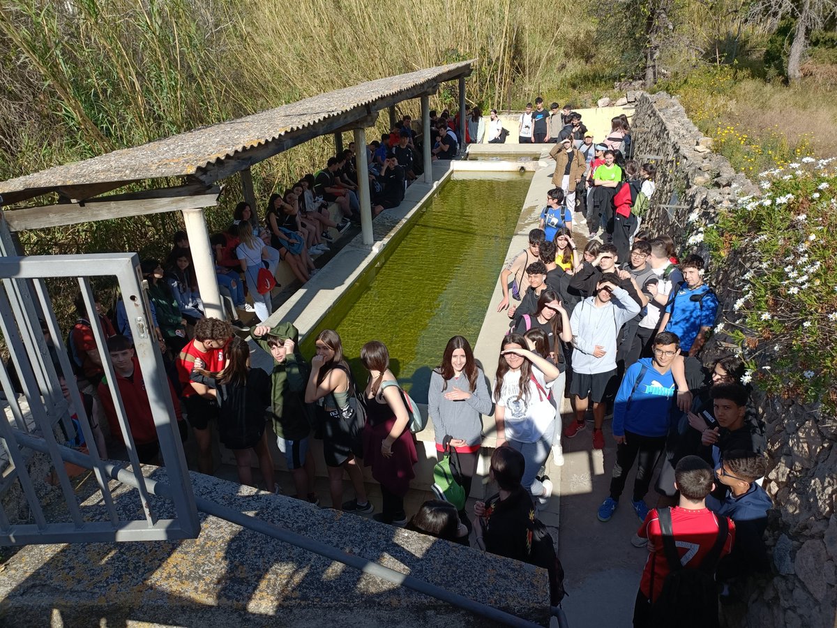 InsJaumeHuguet's tweet photo. En el marc del treball per projectes de 3r d'ESO, avui s'ha fet la sortida per visitar i estudiar els safarejos de Picamoixons. #TreballPerProjectes #ProjectesJH https://t.co/6BYDTFwx5V