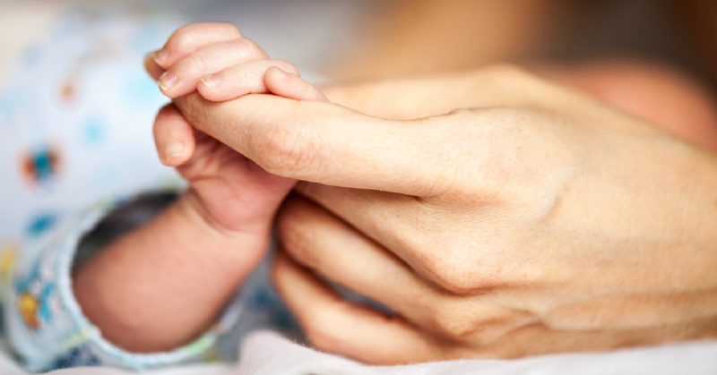 FrontiersIn's tweet photo. Scientists have examined the interplay between infant microbiome composition and birth mode, and found that mothers’ vaginal microbiome composition does not affect microbiome development of babies.

Read the study in @FrontCellInfect: https://t.co/GHMWw8El24, or our news story ⬇